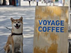 -VOYAGE COFFEE 咖啡烘焙工坊店(798艺术区店)