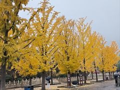 -晋祠公园