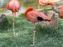 -沈阳森林动物园