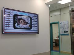 -北京观赏动物医院·24小时大型综合·猫专科·异宠专科