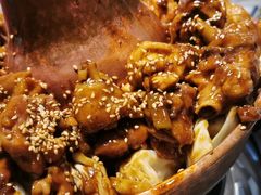 -刘记光大火锅鸡(北行店)