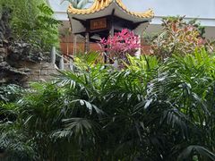 -广州白天鹅宾馆
