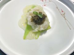 鱼子酱鸡淖-松云泽