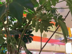 -桂满陇·蟹黄小笼汤包(中山公园店)