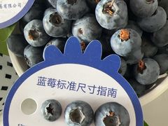 -城南综合水果批发市场(花园路店)
