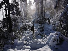 -瓦屋山景区