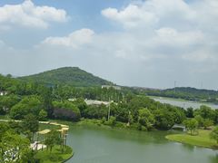-佘山世茂艾美·御珍轩中餐厅