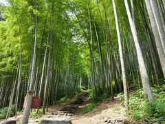 -五泄景区