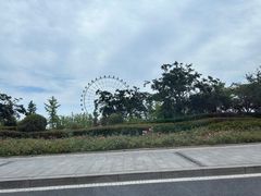 -琴岛之星摩天轮