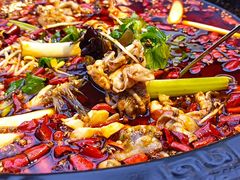 -蛙鱼潭美蛙鱼头火锅(解放碑瑞富广场店)