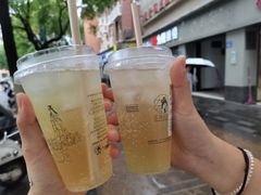 -茶颜悦色(岳麓山顶店)