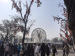-中国翰园碑林