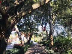 -广州市石门国家森林公园