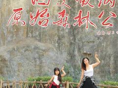 -西双版纳原始森林公园