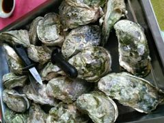 清蒸海岛蚝-邹记·美食(斗门店)