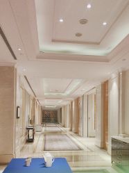 -武汉汉口喜来登大酒店·宴会厅