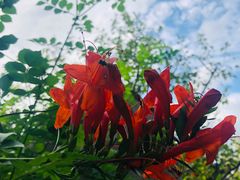 景点-鲁迅公园