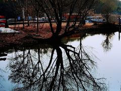 -同里国家湿地公园