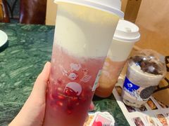 多肉石榴-喜茶(徐州金鹰店)