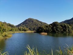 -广州市石门国家森林公园