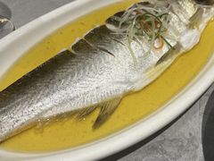 -老绍兴养和饭店(向阳不夜城店)