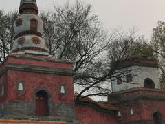 -颐和园