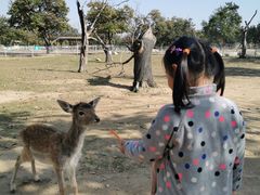 -西安秦岭野生动物园
