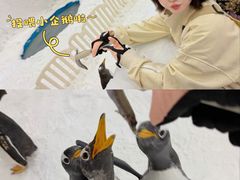 -广州热雪奇迹