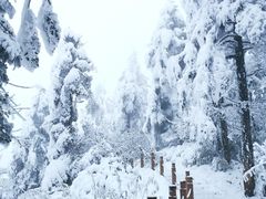 -瓦屋山景区