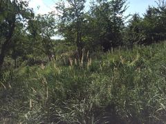 长春公园-长春公园(普阳街道)