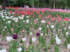 -长春公园(普阳街道)