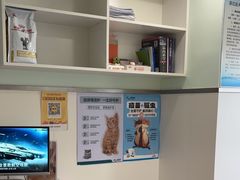 -佳雯宠物医院·皮肤科·内外科(春晓路分院)