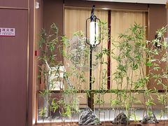 -宏宴·新京菜(望京店)