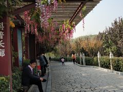 -西安汉城湖景区