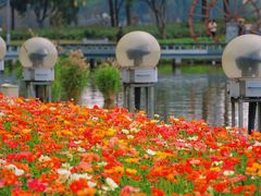 -顺峰山公园
