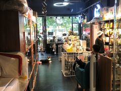 -Goku PET SHOP宠物视觉生活馆(双井店)