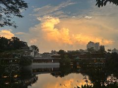 -荔湾湖公园
