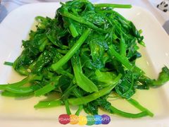清炒豆尖-正兴蜀园(科技园区店)