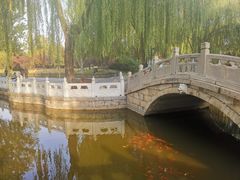 -丰台花园