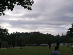 -深圳仙湖植物园-停车场