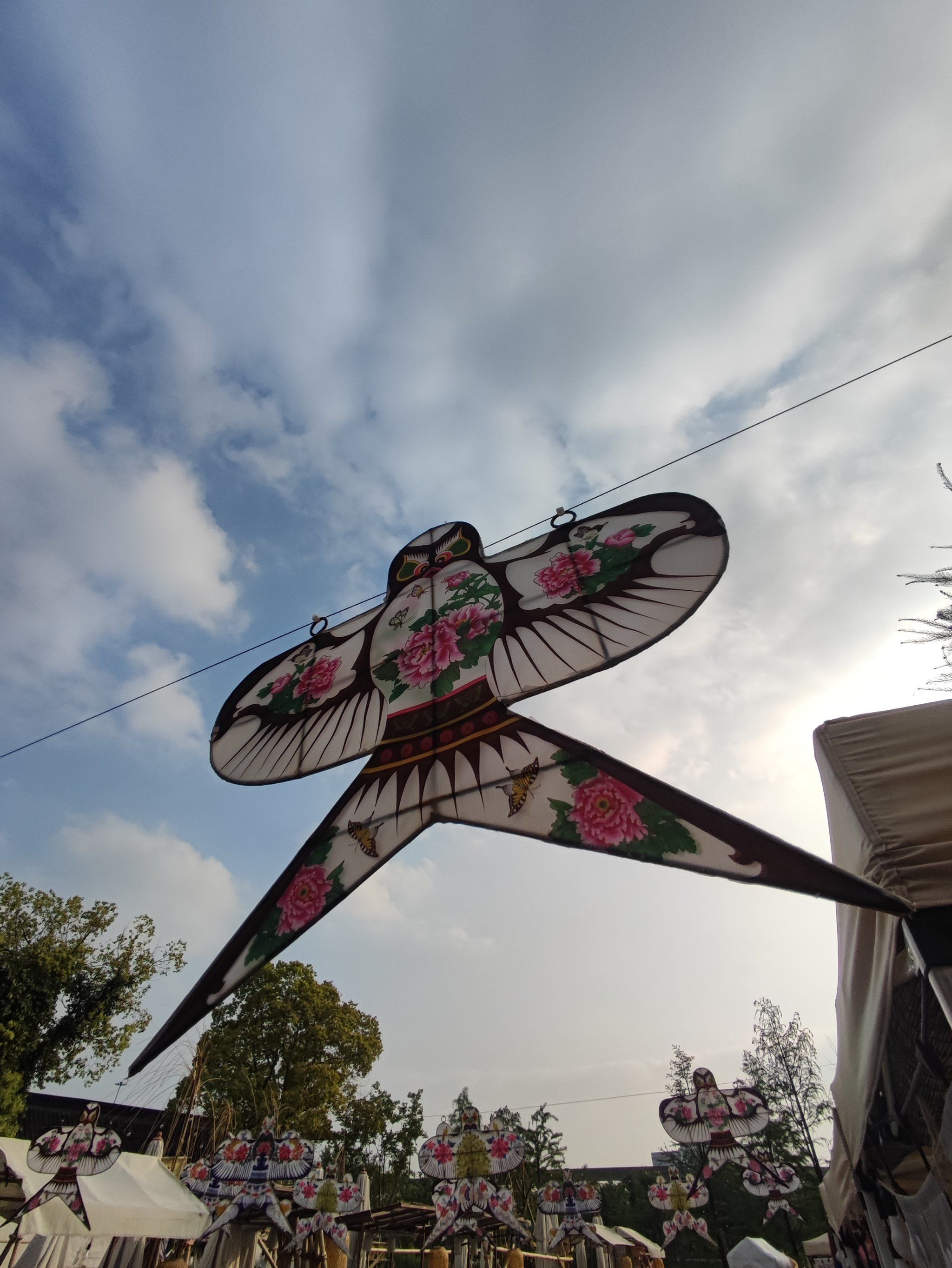 好看的风筝可以放,也可以赏