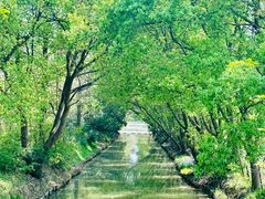 -同里国家湿地公园