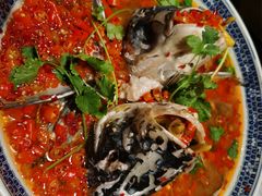 -湘潭九龙鱼头店(城南西路店)