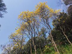 -广州市白云山风景名胜区