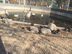 -银川动物园
