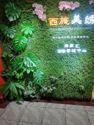 -西施无菌半永久纹绣眉眼影唇轻增发纹发际线
