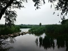-绿堤公园