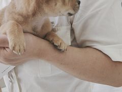 -德元·美联众合24小时动物医院(总院)