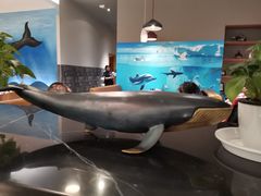 -蓝鲸(国浩路店)