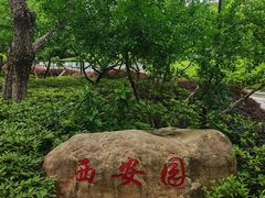 -武汉园博园(武汉自然博物馆)
